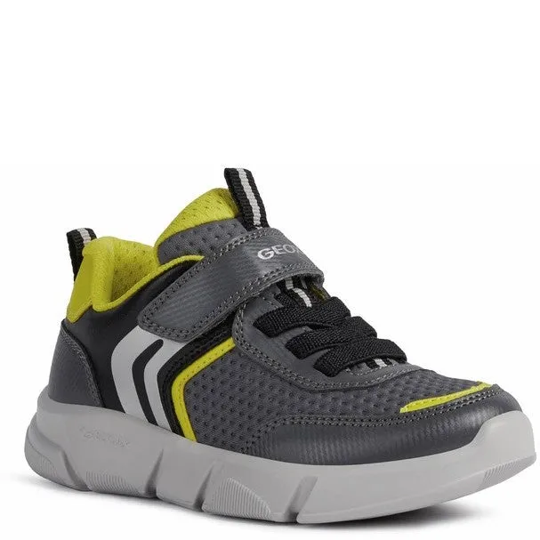 Geox Aril Shoes