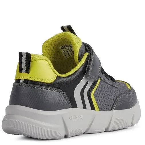 Geox Aril Shoes
