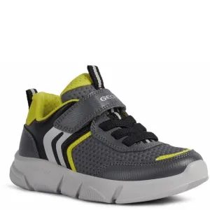Geox Aril Shoes